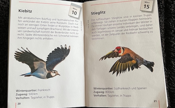Ein Foto aus einem Heftchen der Vogelwarte Sempach, das zeigt, wann der Kiebitz und der Stieglitz wieder in die Schweiz zurückkommen.