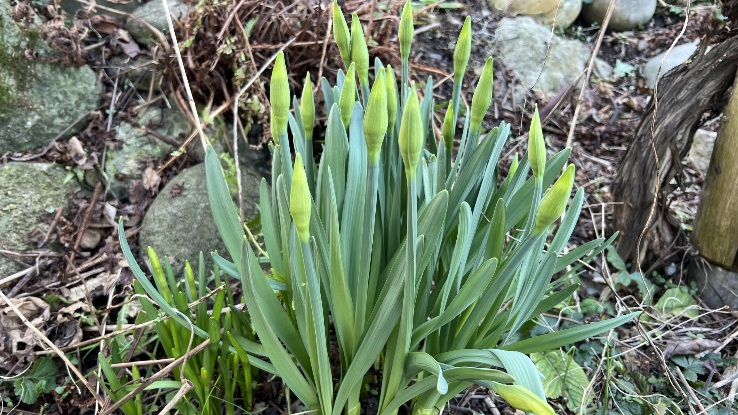 12 von 12 | März 2025