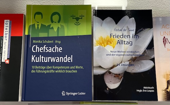 Vier Bücher, an denen Renata B. Vogelsang mitgeschrieben hat, unter anderem Chefsache Kulturwandel, erschienen bei Springer Gabler.