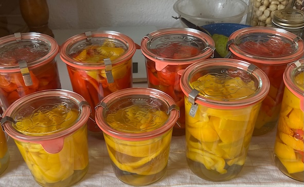 Weck Konserven | Peperoni gelb und rot