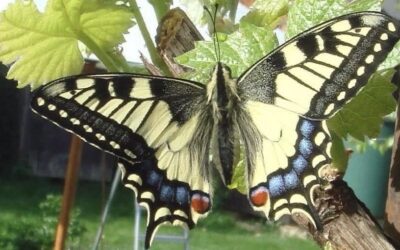 Selbstsicherheit beginnt innen – Wie du deine Stärke entwickelst